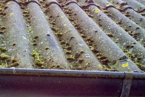 Grøn-fri 3 Liter KONSENTRAT