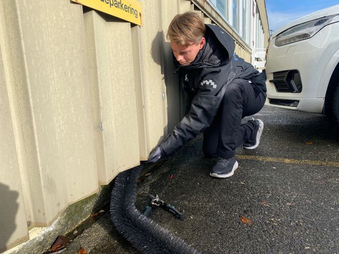 Hovedbilde Mus og rotte børste - 10 x 1 Meter (10 cm ...